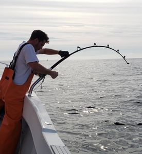 Boston Massachusetts Fishing Charters